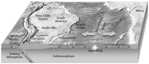 What is the relationship of the dense oceanic crust that is produced at a divergent plate boundary to the convergence or collision of an oceanic plate and a continental plate,such as the western margin of South America in the diagram below?  