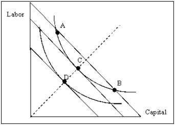 Exhibit 8A-1   -Refer to Exhibit 8A-1.At point C,output is A) higher than at point A but lower than at point B. B) lower than at point A but higher than at point B. C) the same as at points A and B,but the cost is lower than at point A. D) the same as at points A and B,but the cost is higher than at point A. E) the same as at points A and B,and the costs for the three points are the same as well.