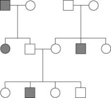 What type of inheritance fits the data in this pedigree?   A)  sex-linked dominant B)  autosomal recessive C)  autosomal dominant