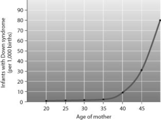   Source: Adapted from C. A. Huether et al., Maternal age specific risk rate estimates for Down syndrome among live births in whites and other races from Ohio and Metropolitan Atlanta, 1970-1989, Journal of Medical Genetics 35: 482-90 (1998) . Figure 8.20B Maternal age and incidence of Down syndrome -You see a cell with several nuclei and you know that something is different about cell division. What is the most likely explanation? A)  failure of cytokinesis following mitosis B)  failure of sister chromatids to separate C)  nondisjunction D)  failure of homologous chromosomes to separate