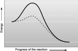 What is true about the data in the accompanying figure?   A)  The solid line represents a reaction that has been catalyzed by an enzyme. B)  The dashed line represents a reaction that includes an enzyme and a cofactor. C)  Both lines represent endergonic reactions. D)  The energy of the products is higher than the energy of the reactants.