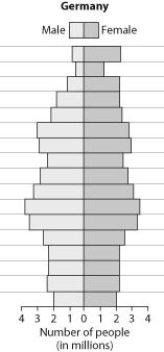 Examine the age structure of Germany in the following figure. Which conclusion is not supported by the age structure?   A)  There will be large positive population growth in the near future. B)  There are more women than men between the ages of 60 and 70. C)  There will be small negative population growth in the near future. D)  There are more people between the ages of 25 to 39 then between 0 and 14.