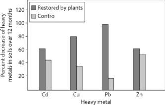 Plants are sometimes used for phytoremediation in areas where the soil has been contaminated with heavy metals. Suppose the Acme Remediation Company is proposing to remediate a contaminated area that you wish to restore. Acme presents you with the following data as evidence of their company's ability to remediate soil.    -According to the data, this remediation plan is most effective with which element? A)  cadmium (Cd)  B)  copper (Cu)  C)  lead (Pb)  D)  zinc (Zn) 