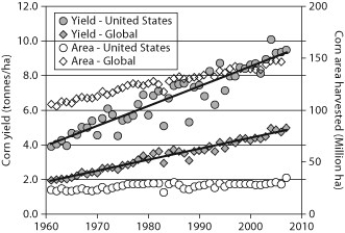 This figure compares corn yield (how much corn is produced)  in relation to the area of land from which the corn was harvested, for the United States and globally. Which statement, according to this figure, is true?   A)  The efficiency of corn production (yield per area)  in the United States has increased more than global efficiency. B)  The efficiency of global corn production (yield per area)  has increased more than efficiency in the United States. C)  Global production efficiency was greater prior to 1980 than since 1980. D)  The efficiency of U.S. production has decreased.