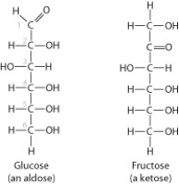 These two molecules are structural isomers. What is the difference between them?   A)  the number of carbon atoms B)  the number of hydrogen atoms C)  the location of a double-bonded oxygen atom D)  Only one of them has a double bond between carbon atoms.