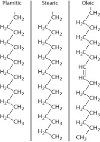 Following are the structures of three fatty acids: palmitic acid, stearic acid, and oleic acid. What combination of these fatty acids could you use to make a fat that is liquid at room temperature?   A)  one palmitic acid, one stearic acid, and one oleic acid B)  three palmitic acids C)  two palmitic acids and one stearic acid D)  one stearic acid, one oleic acid, and one phosphate group