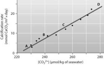 Below is a figure from an experiment that was performed to measure the effect of carbonate ion (CO<sub>3</sub><sup>2-</sup>)  concentration on the calcification (growth)  rate of coral reefs. At which point on the graph is the ocean pH the lowest?   A)  A B)  B C)  C D)  D