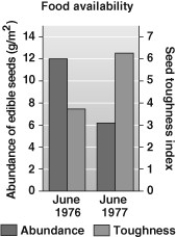 The data in this graph indicate   A)  there were fewer total tough seeds in 1976 than in 1977. B)  plants that produced soft seeds in 1976 produced tougher seeds in 1977. C)  available seeds were generally tougher in 1977 than in 1976. D)  seed abundance in 1977 was severely reduced by finch feeding.
