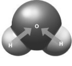 Which model is best studied through a systems approach? A)  model of O2/CO2 exchange in a leaf   B)  model of arrangements of atoms in a molecule   C)  model of the biogeochemical cycling of nutrients   D)  model of skin color inheritance  