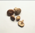 Identify the following mushrooms. Write the mushroom's name next to the photograph. -_____________________   