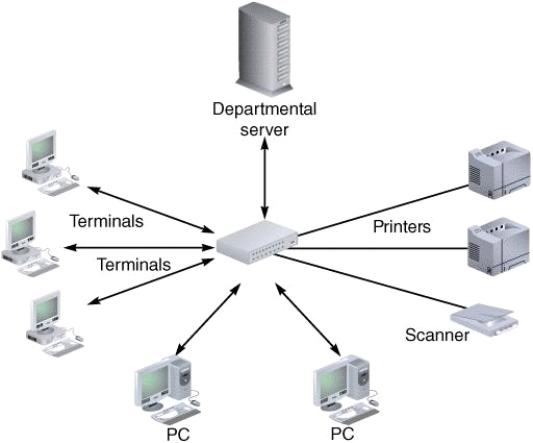   -A _____, such as that illustrated in the accompanying figure, has a central networking device that manages the network. A) hierarchical network B) star network C) bus network D) ring network