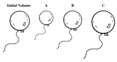 A balloon is filled with helium gas. For the question(s)  that follow, select the letter of the balloon diagram that corresponds to the given change in conditions.   -The balloon is put into a chamber whose pressure is less than the atmospheric pressure and at atmospheric temperature. A)  A B)  B C)  C D)  A and B E)  B and C