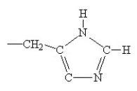 Classify each protein by function. -  A) hydrophobic B) both C) hydrophilic