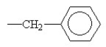 Classify each protein by function. -  A) hydrophobic B) both C) hydrophilic