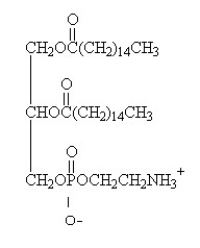 For the question(s)  that follow, identify the class of lipid to which each of the following molecules belongs. -  A)  glycerophospholipid B)  triacylglycerol C)  glycosphingolipid D)  steroid E)  wax