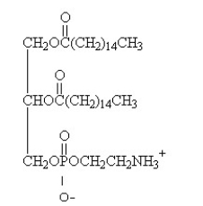 The components in the following glycerophospholipid are   A)  sphingosine, palmitic acid, phosphate, and choline. B)  sphingosine, palmitic acid, phosphate, and serine. C)  glycerol, palmitic acid, phosphate, and ethanolamine. D)  glycerol, palmitic acid, phosphate, and galactose. E)  sphingosine, palmitic acid, phosphate, and ethanolamine.