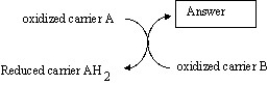 Which is the best choice for the box labeled  Answer  in the illustration below?   A) oxidized carrier B B) carbon dioxide C) OH- D) reduced carrier BH2 E) energy