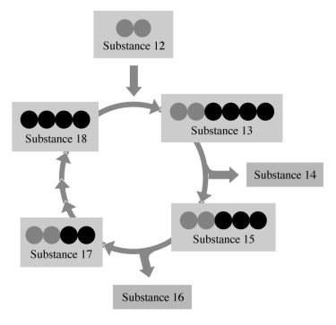 In this figure, depicting part 1 of the Citric Acid Cycle, taken from your text, identify the substances numbered.   -Substance 12