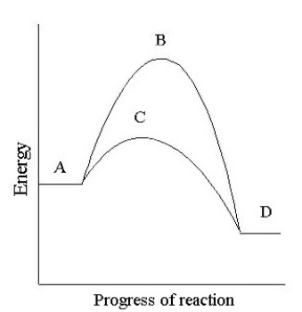 Identify each of the designated regions on the energy diagram for the conversion of a substrate to product with and without an enzyme.   -energy of the product