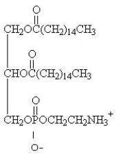 For the question(s)  that follow, identify the class of lipid to which each of the following molecules belongs. -  A) glycerophospholipid B) triacylglycerol C) glycosphingolipid D) steroid E) wax