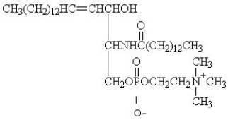For the question(s)  that follow, identify the class of lipid to which each of the following molecules belongs. -  A) sphingolipid B) simple lipid C) bile salt D) triacylglycerol E) prostaglandin