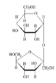 <strong>Refer to the disaccharide below to answer the following question(s).   In the figure above,the monosaccharide on the top is a(n)________.</strong> A)aldopentose B)ketopentose C)aldohexose D)aldoheptose E)ketohexose <div style=padding-top: 35px> 