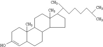   A) steroid B) glycerophospholipid C) wax D) triacylglycerol E) prostaglandin