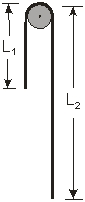 Use the figure to the right for the next problems. A flexible rope of mass m and length L = L<sub>1</sub> + L<sub>2</sub>, hangs over a frictionless peg, as shown in the figure.   -What is the change in potential energy when the end of the rope just slides off the peg? A)    mgL B)    mgL<sub>1</sub> C)    mgL<sub>2</sub> D)    mgL<sub>1</sub><sup>2</sup>/(L)  E)    mgL<sub>1</sub>L<sub>2</sub>/(L) 