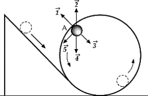 The ball shown in the figure will loop-the-loop if it starts from a point high enough on the incline. When the ball is at point A, the centripetal force on it is best represented by which of the following vectors?   A)    B)    C)    D)    E)   