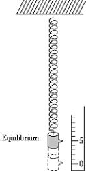 A mass of 2.00 kg suspended from a spring 100 cm long is pulled down 4.00 cm from its equilibrium position and released. The amplitude of vibration of the resulting simple harmonic motion is   A)  4.00 cm B)  2.00 cm C)  8.00 cm D)  1.04 cm E)  1.02 cm