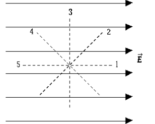   The figure depicts a uniform electric field. The direction in which there is no change in the electric potential is A)  1 B)  2 C)  3 D)  4 E)  5