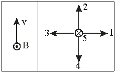   The left diagram shows a positively charged particle is moving with velocity v in a magnetic field B. Using the right diagram, the direction of the magnetic force on the particle is A)  1 B)  2 C)  3 D)  4 E)  5