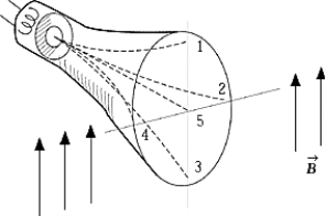   When a cathode-ray tube with its axis horizontal is placed in a magnetic field that is directed vertically upward, the electrons emitted from the cathode follow one of the dashed paths to the face of the tube. The correct path is A)  1 B)  2 C)  3 D)  4 E)  5