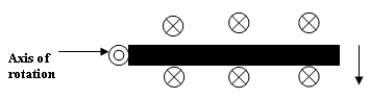   A 0.1-m-long rod rotates about a perpendicular axis at one end. As the rod rotates, it passes through a uniform magnetic field that has a perpendicular component of 3 *10<sup>-2</sup> T to the plane of rotation. If the induced EMF across the ends of the rod is 0) 2 V, then calculate the number of revolutions per second of the rod. A)  6.7 * 10<sup>1</sup> revs/s B)  6.7 *10<sup>3</sup> revs/s C)  4.7*10<sup>-3</sup> revs/s D)  6.7*10<sup>2</sup> revs/s E)  2.1 *10<sup>2</sup> revs/s