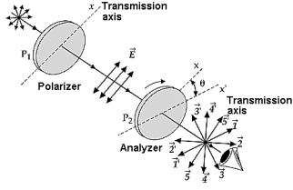   Two polarizing films are crossed with their transmission axes making an angle of  \theta  = 20° with each other. The vectors that represent the plane-polarized wave train passed by the second polarizing film are A)    -   ' B)    -   ' C)    -   ' D)    -   ' E)  None of these is correct because no light passes through the second disk. 