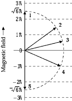   The orbital angular momentum of an electron in a D state has a magnitude of   . The figure shows orientations of the angular momentum vector or an electron placed in a magnetic field in the positive z direction. The vector that represents a correct orientation when the field is applied is A)  1 B)  2 C)  3 D)  4 E)  5