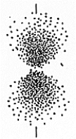   The set of quantum numbers for the probability density shown is A)  n = 2,   = 0, m = 0 B)  n = 2,   = 1, m = 0 C)  n = 2,   = 1, m = 1 D)  n = 2,   = 0, m = 1 E)  n = 1,   = 1, m = 0