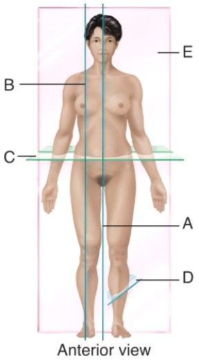 Which plane is frontal?   A) A B) B C) C D) D E) E
