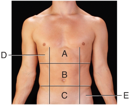 Which region is the hypogastric region?   A) (a)  B) (b)  C) (c)  D) (d)  E) (e) 