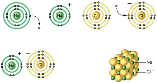 Describe the basic chemical principle that is shown in this diagram?   