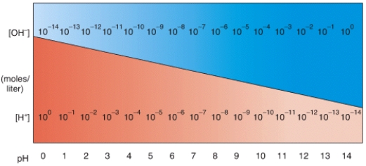 In the diagram,what pH value represents an acidic solution?   A) 12 B) 10 C) 8 D) 6 E) None of these choices.
