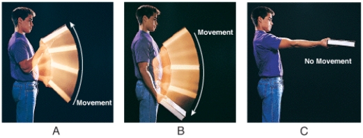 Which figure exhibits a contraction of the biceps brachii muscle in which its length increases?   A) A B) B C) C D) none of these choices
