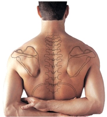 If a patient folds the arms across the chest and bends forward, the lung sounds can be heard (at the triangular area shown in the figure) in the intercostal space between which two ribs?  