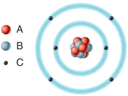 In the diagram which particles are negatively charged?   A) A B) B C) C D) All of these choices. E) None of these choices.