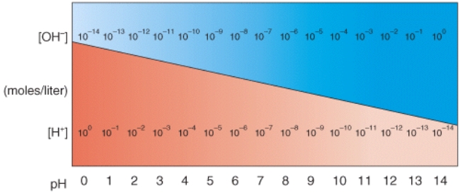 In the diagram,what pH value represents an acidic solution?   A) 12 B) 10 C) 8 D) 6 E) None of these choices.