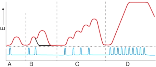 Which area of the myogram shows sustained contraction with partial relaxation?   A) A B) B C) C D) D E) none of these choices