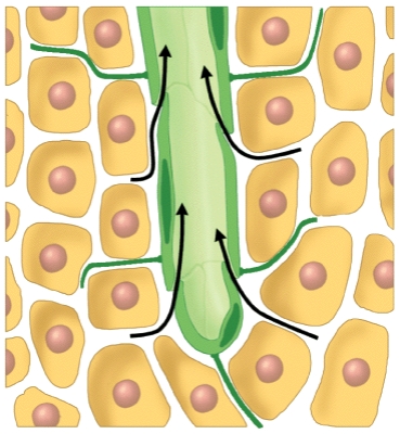 What does this diagram represent?   