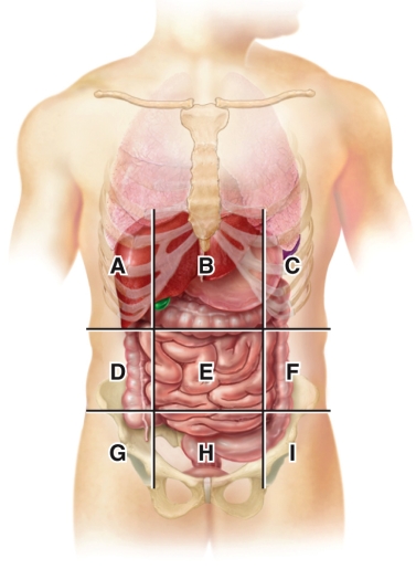 According to the diagram,an appendectomy would be performed   A) B B) D C) G D) H E) I