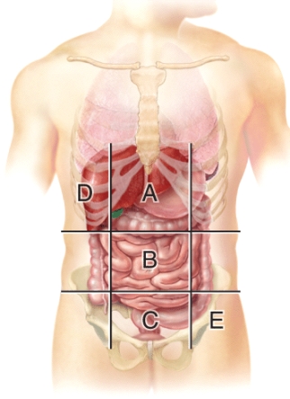 A patient has a laparoscopic cholecystectomy (gallbladder removal) .Which abdominopelvic region would the doctor perform surgery   A) A B) B C) C D) D E) E