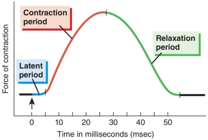 Diltiazem is a calcium channel blocker,reducing free intracellular calcium.What stage of the myogram would be affected immediately?   A) Latent period B) Contraction period C) Relaxation period D) All myogram stages are affected